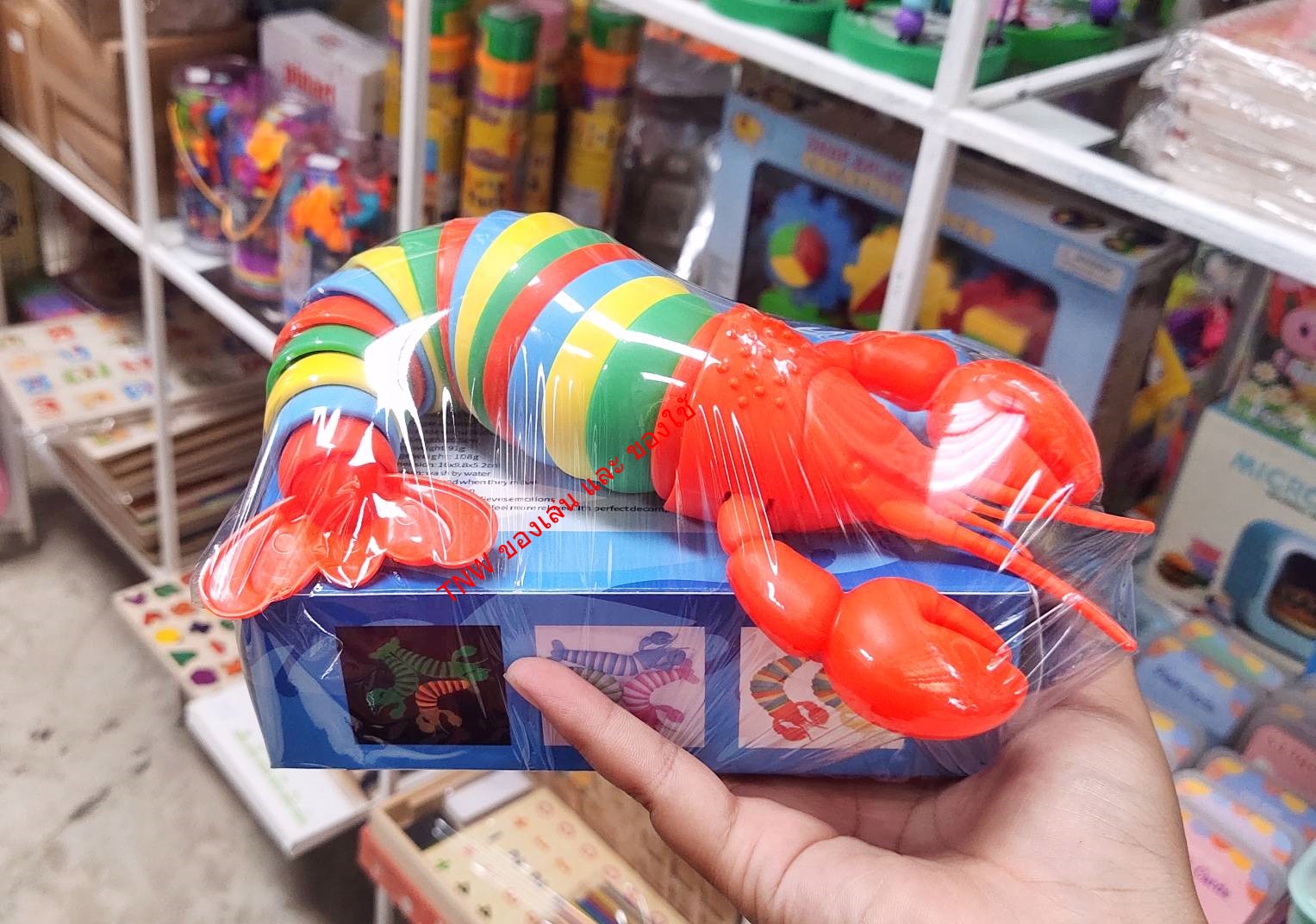 ของเล่นก้ามหมุน มีความยืดหยุ่น สำหรับเด็ก ของเล่นไม่เครียด ขิงเล่นสำหรับเด็ก