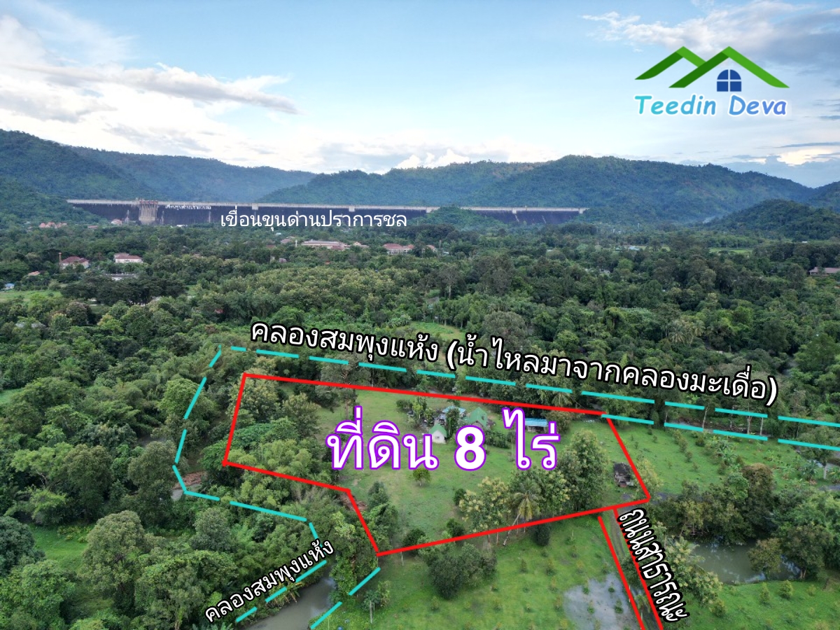 (ðī āļāļīāļāļāļēāļĢāļāļēāļĒ) āļāļĩāđāļāļīāļāļāļāļĢāļāļēāļĒāļ āļāļīāļāļĨāļģāļāļēāļĢ āļāļĨāļđāļāļāļĨāđāļĄāđ 8 āđāļĢāđ 2 āļāļēāļ āļ.āļŠāļēāļĢāļīāļāļē āļ.āđāļĄāļ·āļāļ āļ.āļāļāļĢāļāļēāļĒāļ