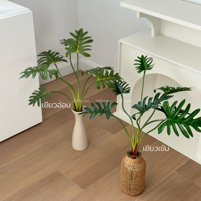 [พร้อมส่ง] Jnihouse : กิ่งต้นซานาดู (Xanadu Plant)(Tree)