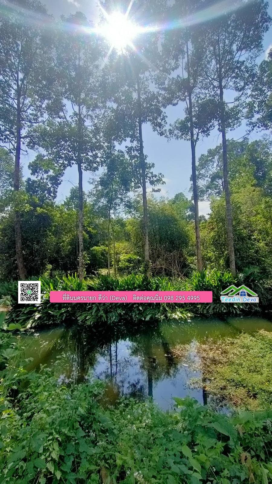 ที่ดินสวยขนาด 10 ไร่ อยู่ในแหล่งท่องเที่ยว ใกล้เขื่อนด่านปราการชล ต.สาริกา อ.เมือง จ.นครนายก