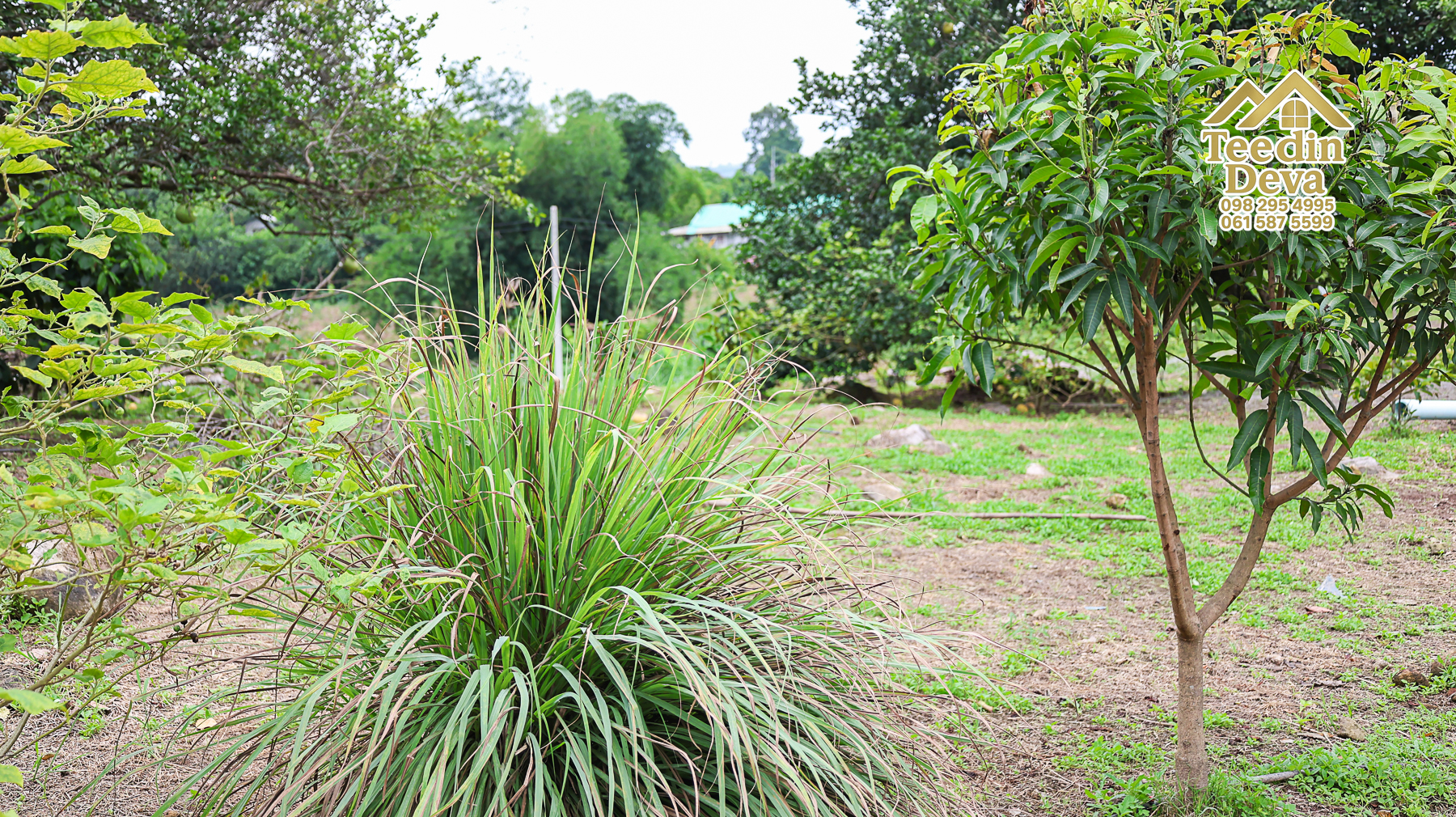 ที่ดินติดภูเขา เนินสวย พร้อมพัฒนารีสอร์ทหรือพูลวิลล่า 1 ไร่ ต.เขาพระ อ.เมือง จ.นครนายก 🏡