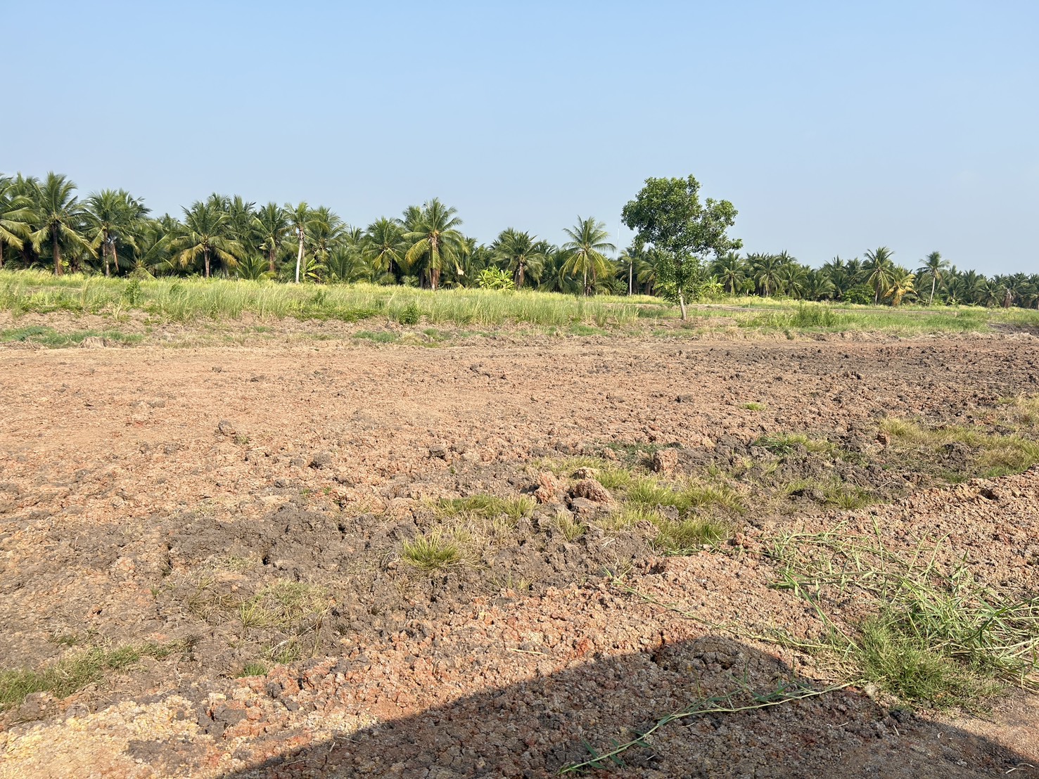 📢 ที่ดินแบ่งขายทำเลดี คลอง 11 หนองเสือ ปทุมธานี (รพีพัฒน์ เฟส 3) 🎗️