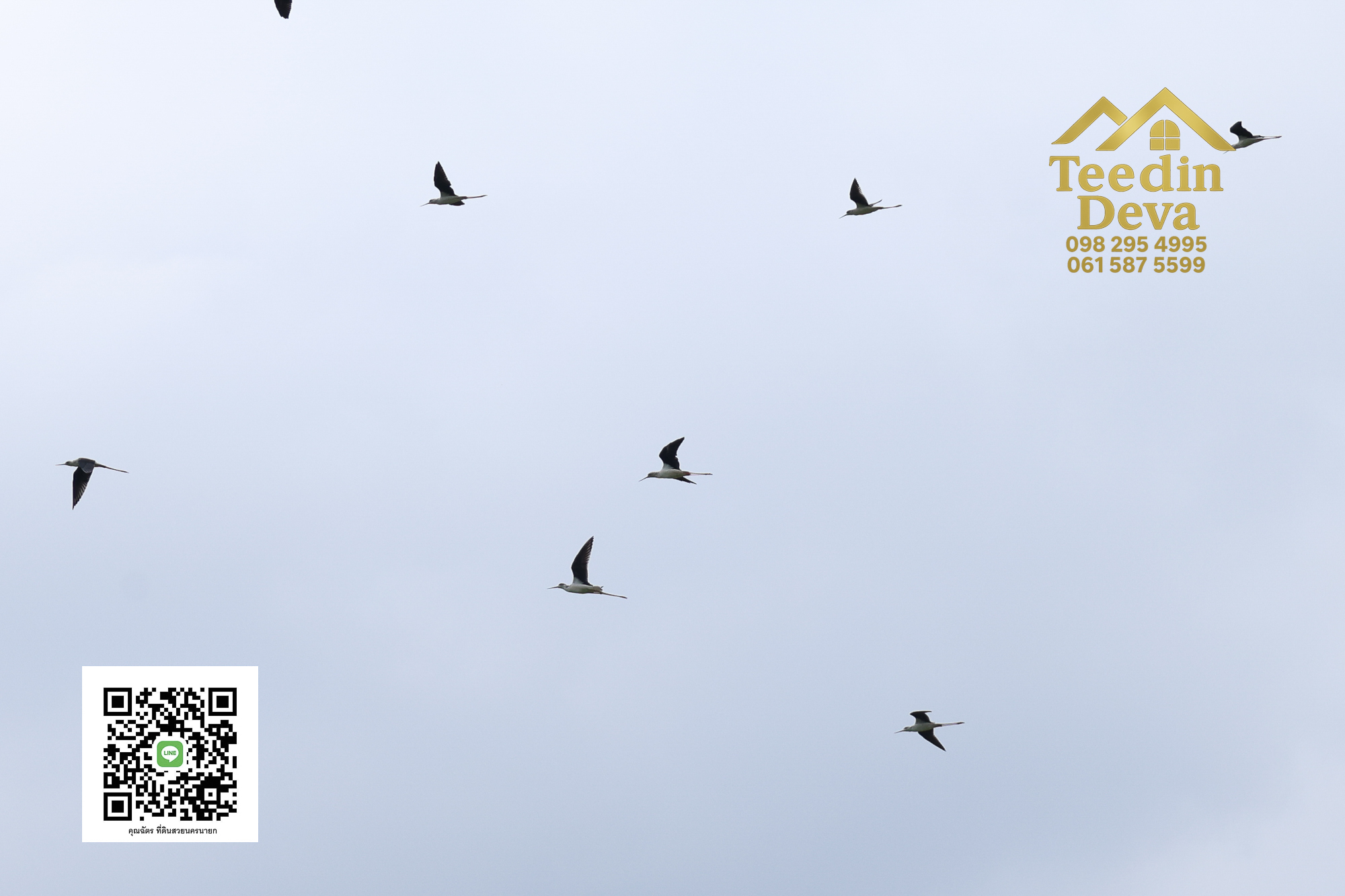 🏡✨ ที่ดินวิวภูเขา โอบด้วยธรรมชาติ…พักใจได้ทุกวัน 🌿 100 ตรว ต.เขาพระ อ.เมือง จ.นครนายก