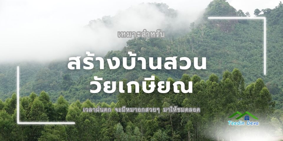 🏡 ที่ดินแปลงนี้ เนื้อที่ 1 ไร่ ทำเลดี วิวเขาสวย ⭐ เหมาะกับการพักผ่อนในวันหยุด และในช่วงวัยเกษียณ.. 🌄