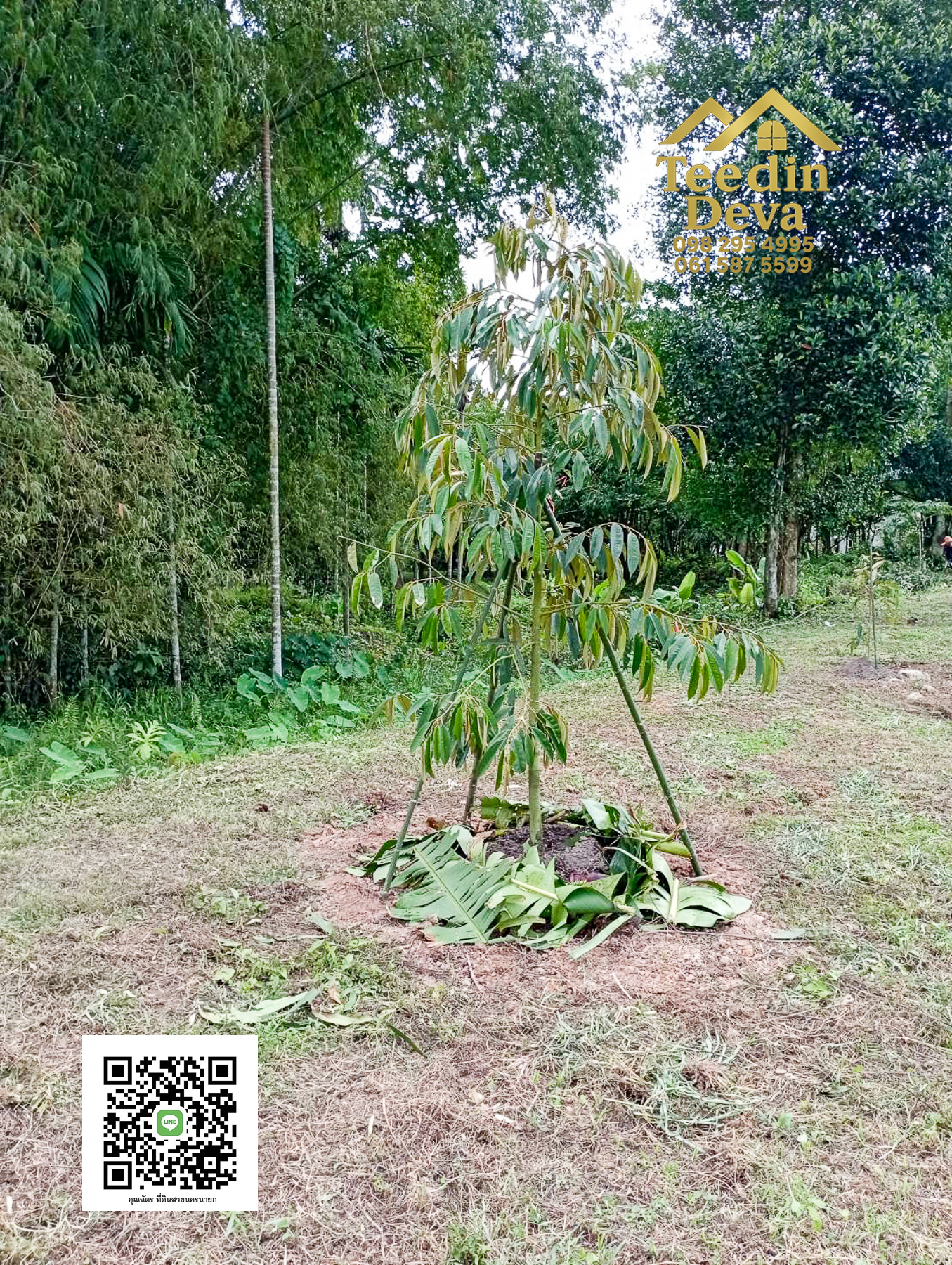 ที่ดินนครนายก วิวภูเขา ติดลำธาร ใกล้เขาใหญ่ ขนาด 1 ไร่ ทำเลดี ต.นาหินลาด อ.ปากพลี จ.นครนายก