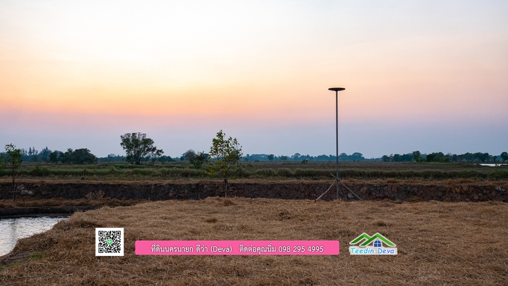 🌿 ที่ดินสวยๆ ขนาด 2 ไร่ พร้อมน้ำไฟ ดินดี น้ำดี อากาศดี มีเพื่อนบ้าน ณ ต.ปากพลี อ.ปากพลี จ.นครนายก
