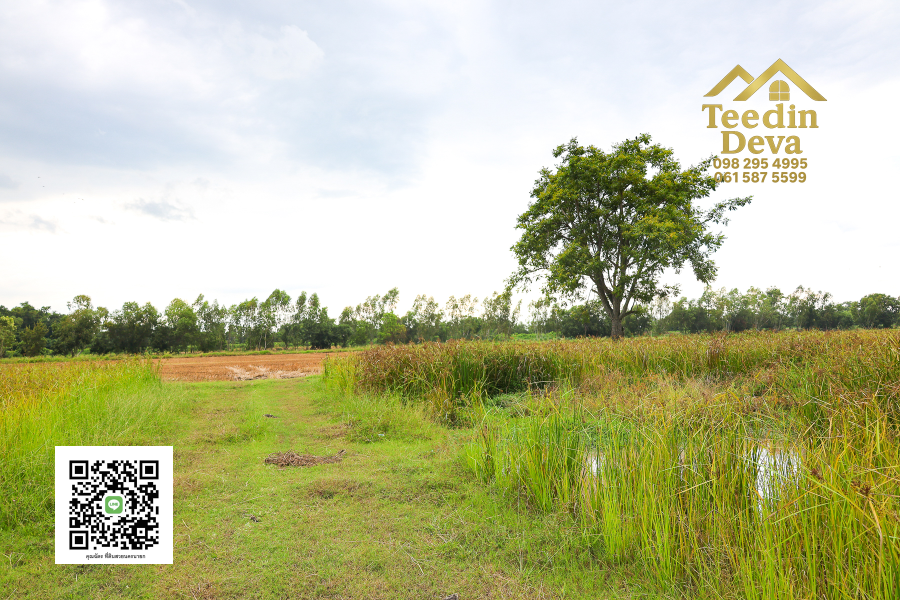 "ที่ดินในฝัน ใกล้ธรรมชาติ 🌿 1 ไร่ 2 งาน – ต.บ้านพริก อ.บ้านนา จ.นครนายก"