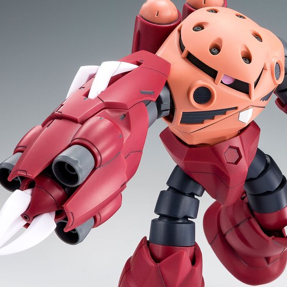 (HG) 1/144 Amazing Z'Gok (Premium Bandai)