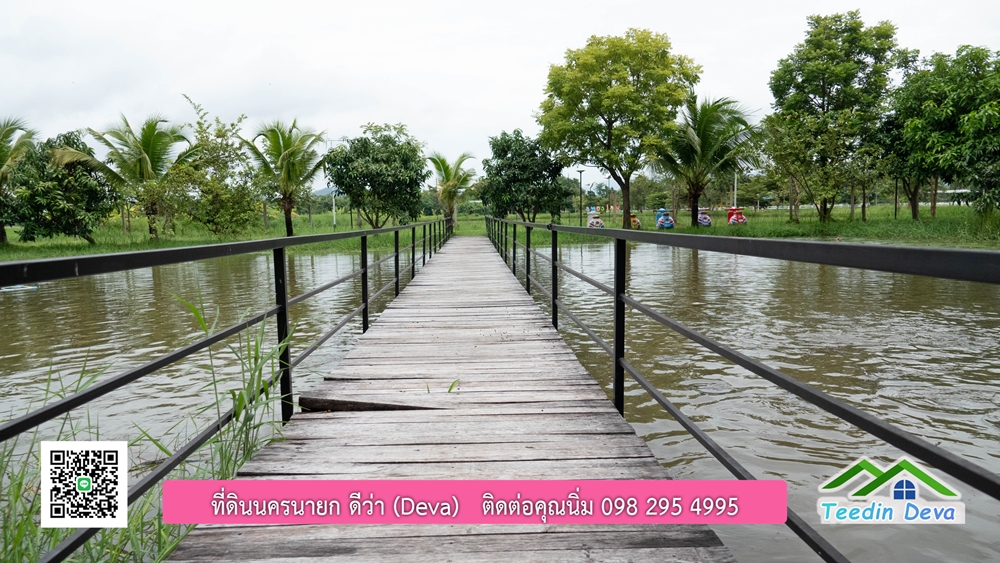 ขายบ้านสวน กลางนา วิวเขาใหญ่ ต.สาริกา อ.เมือง จ.นครนายก