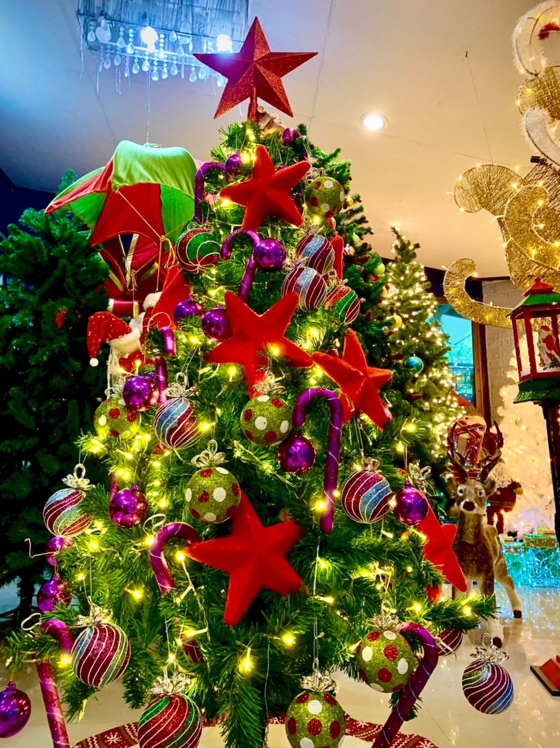 แบบการตกแต่งต้นคริสต์มาสปลอม ด้วย ดาวคริสต์มาสสีแดง และลูกบอลคริสต์มาสหลากหลายสีสัน