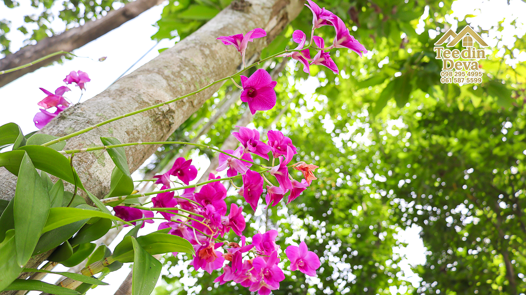 ðŋ āļāđāļēāļāļŠāļ§āļāđāļāļāļąāļ āļĢāļīāļĄāļĨāļģāļāļēāļĢ āļ§āļīāļ§āļ āļđāđāļāļēāļŠāļ§āļĒ â 821 āļāļĢ.āļ§. āļ.āļŠāļēāļĢāļīāļāļē āļ.āđāļĄāļ·āļāļ āļ.āļāļāļĢāļāļēāļĒāļ ðŋ