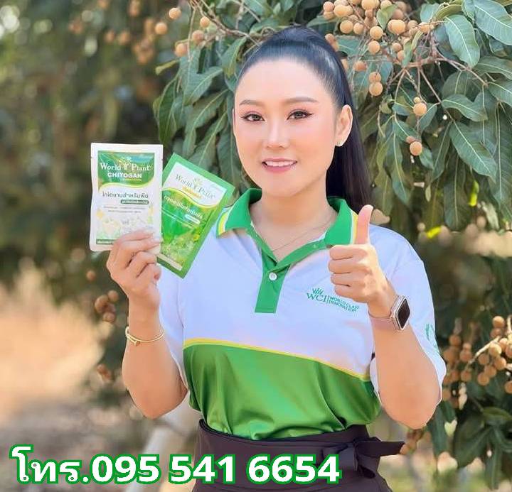 เวิลดแพลนท์สูตรใหม่