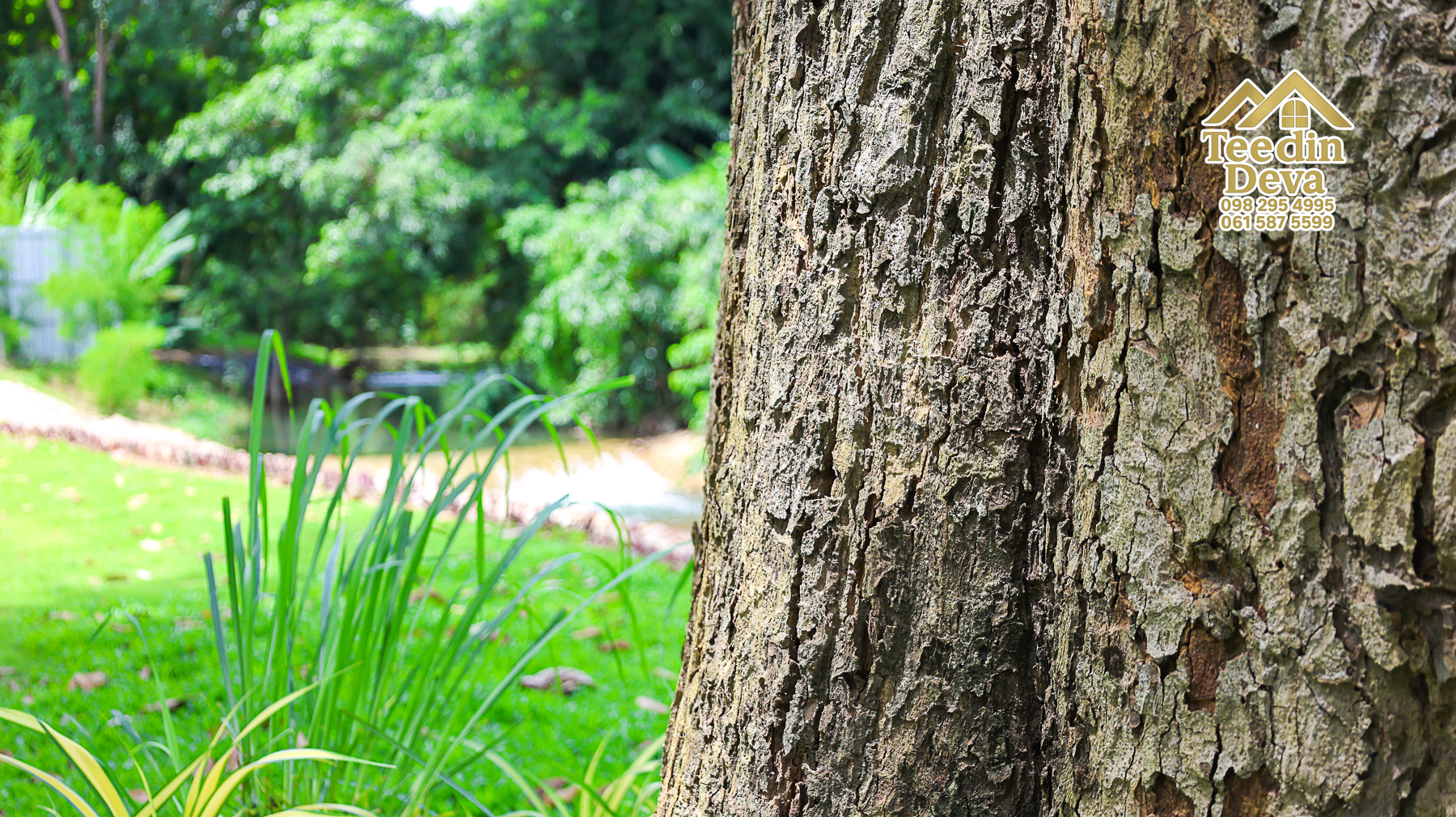 ðŋ āļāđāļēāļāļŠāļ§āļāđāļāļāļąāļ āļĢāļīāļĄāļĨāļģāļāļēāļĢ āļ§āļīāļ§āļ āļđāđāļāļēāļŠāļ§āļĒ â 821 āļāļĢ.āļ§. āļ.āļŠāļēāļĢāļīāļāļē āļ.āđāļĄāļ·āļāļ āļ.āļāļāļĢāļāļēāļĒāļ ðŋ