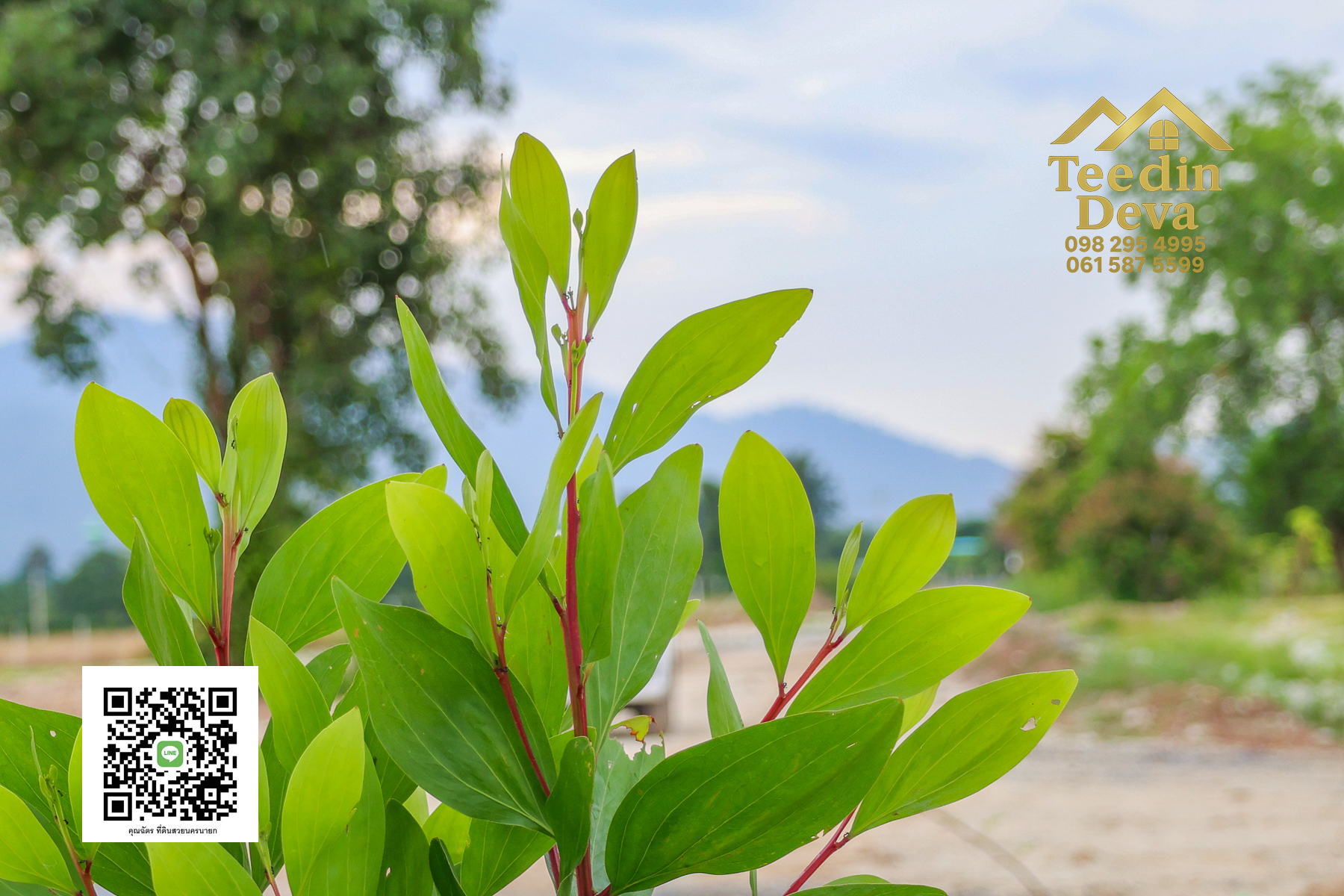 ตื่นเช้ามาพร้อมวิวเขา สูดอากาศบริสุทธิ์ได้ทุกวัน ที่นี่ เนื้อที่ 1 ไร่ ... ต.สาริกา นครนายก