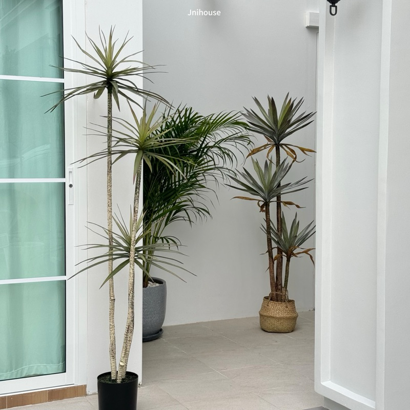 [พร้อมส่ง] Jnihouse : ต้นจันผาประดิษฐ์ สูง 160 cm (Tree)