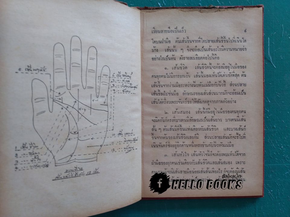 เรียนลายมือ แบบเป็นเร็ว เข้าใจง่าย