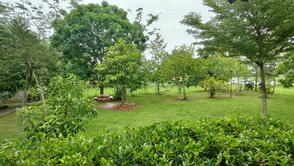 ขายบ้านสวน กลางนา วิวเขาใหญ่ ต.สาริกา อ.เมือง จ.นครนายก