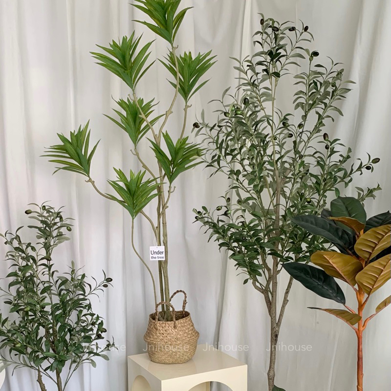 [พร้อมส่ง] Jnihouse : ตะกร้าสาน ตะกร้าหวายธรรมชาติ