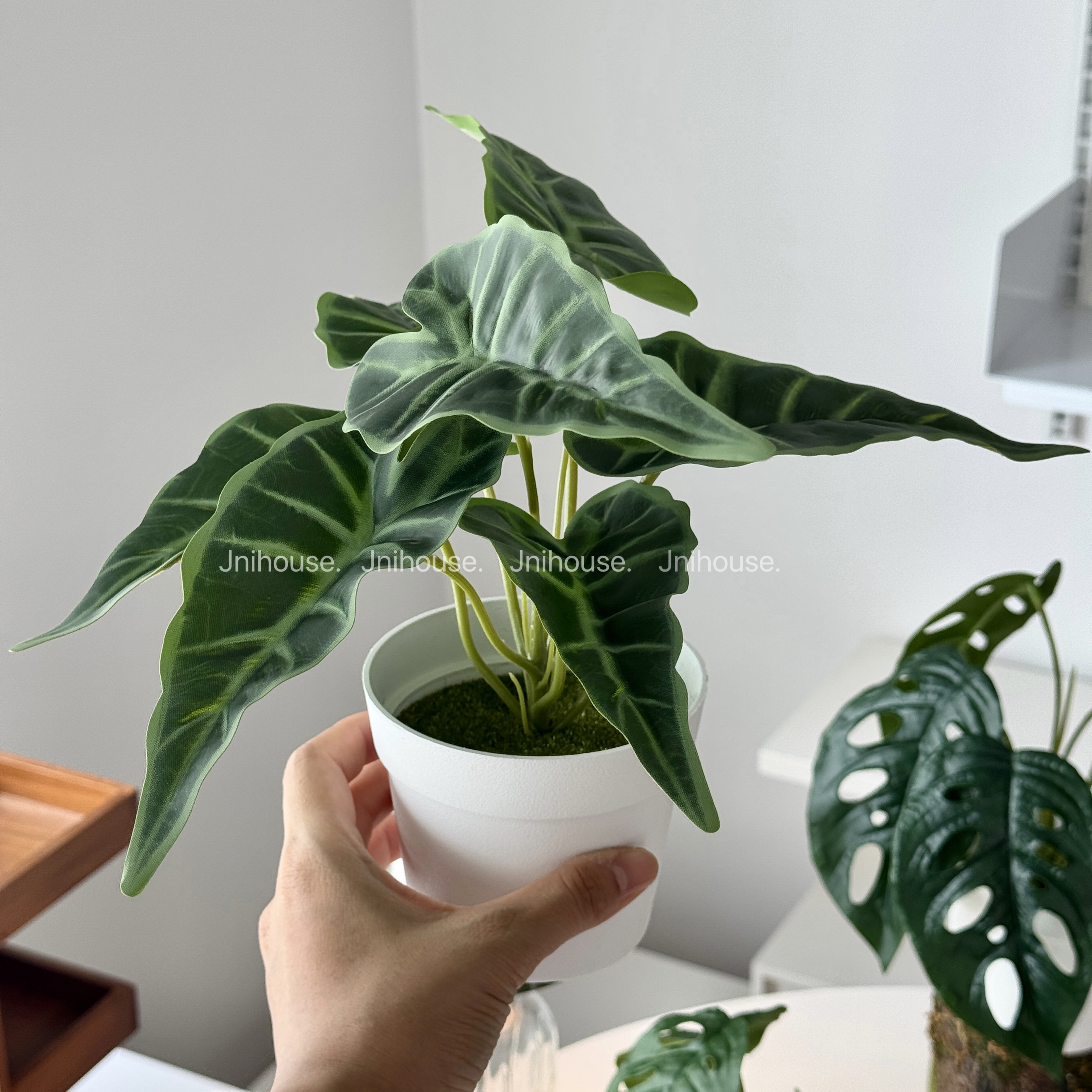 [พร้อมส่ง] Jnihouse : ต้นไม้ประดิษฐ์เล็กกระถางขาว (Tree)