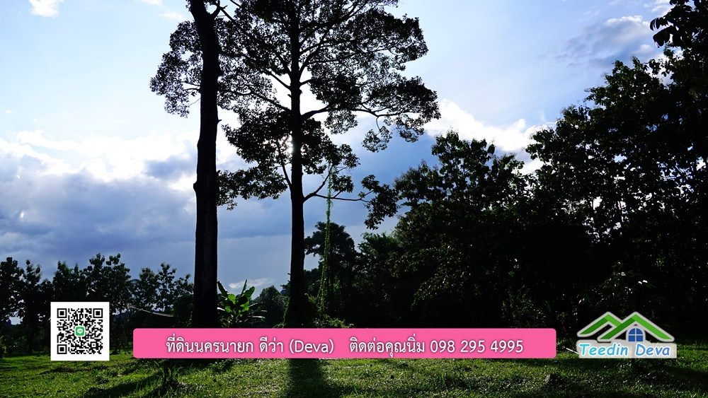 (ðī āļāļīāļāļāļēāļĢāļāļēāļĒ) āļāļĩāđāļāļīāļāļāļāļĢāļāļēāļĒāļ āļāļīāļāļĨāļģāļāļēāļĢ āļāļĨāļđāļāļāļĨāđāļĄāđ 8 āđāļĢāđ 2 āļāļēāļ āļ.āļŠāļēāļĢāļīāļāļē āļ.āđāļĄāļ·āļāļ āļ.āļāļāļĢāļāļēāļĒāļ