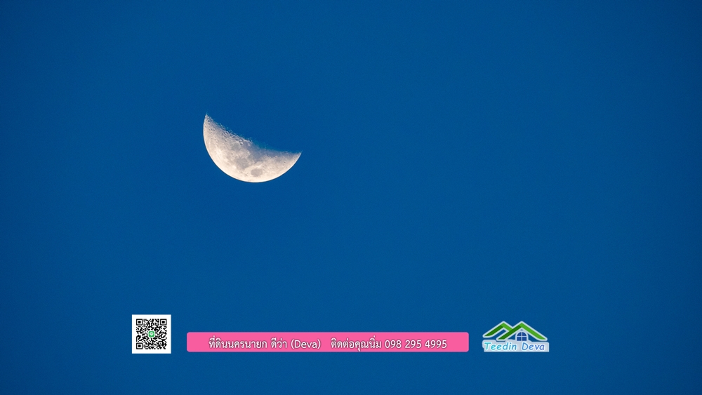 🌿 ที่ดินสวยๆ ขนาด 2 ไร่ พร้อมน้ำไฟ ดินดี น้ำดี อากาศดี มีเพื่อนบ้าน ณ ต.ปากพลี อ.ปากพลี จ.นครนายก