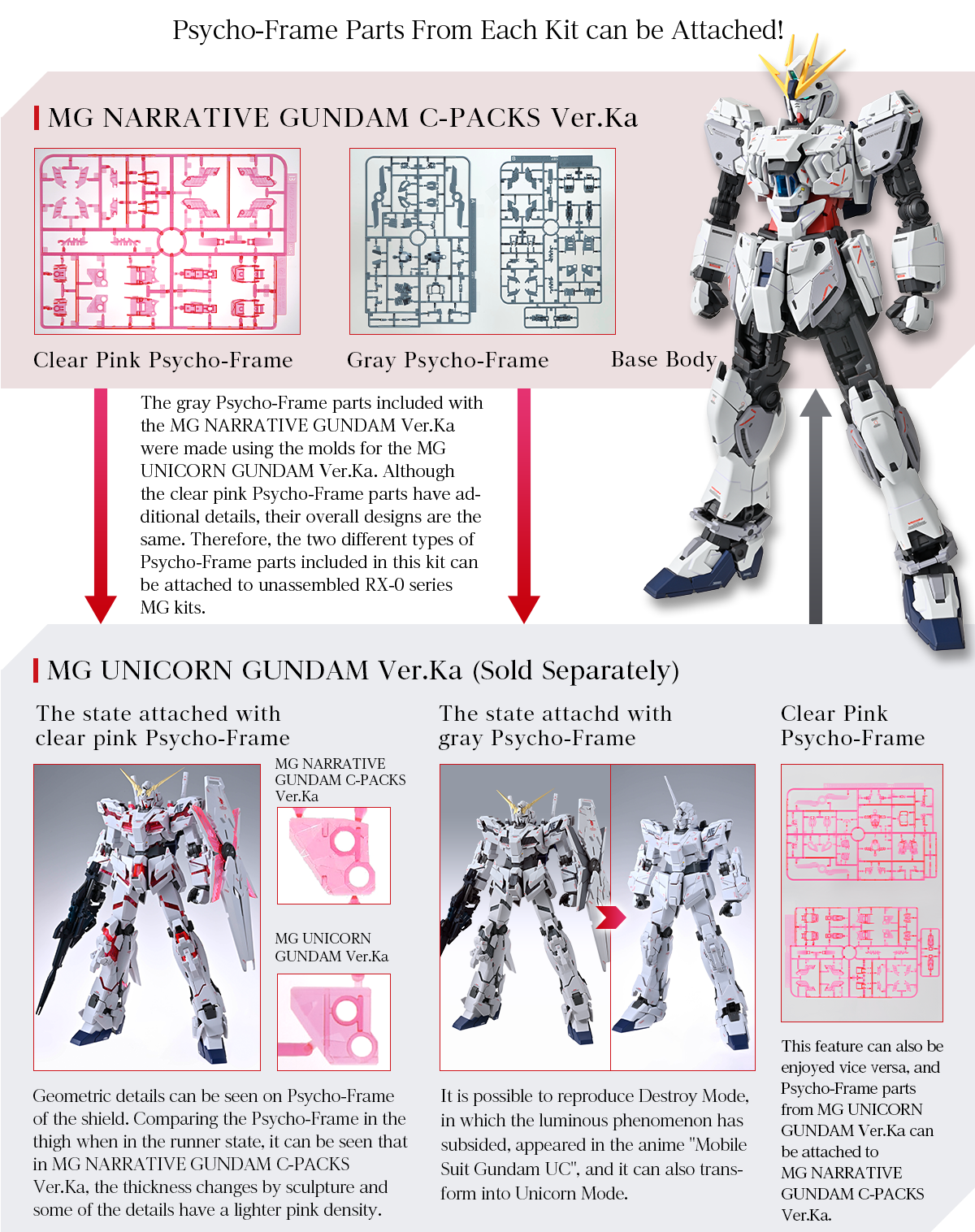(MG) 1/100 NARRATIVE GUNDAM C-PACKS Ver.Ka