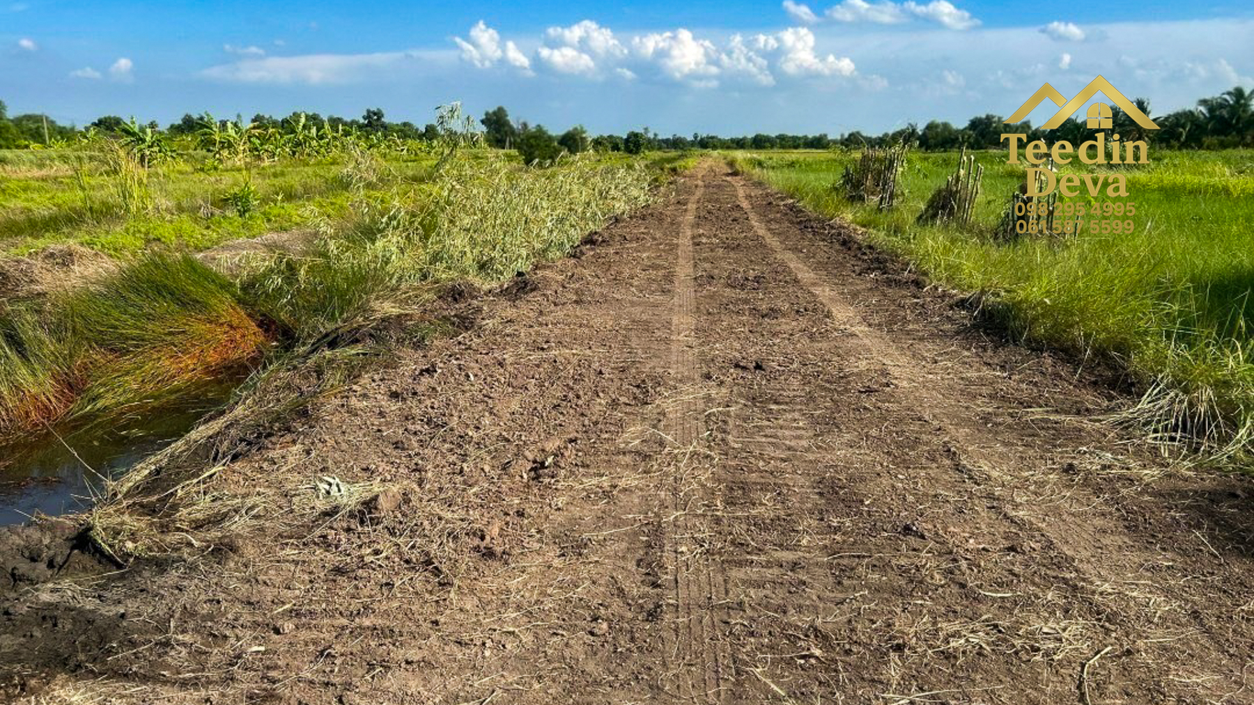ที่ดินปทุมธานี ที่สวย ราคาถูก สดและผ่อน ขนาด 200 ตรว อ.หนองเสือ จ.ปทุมธานี