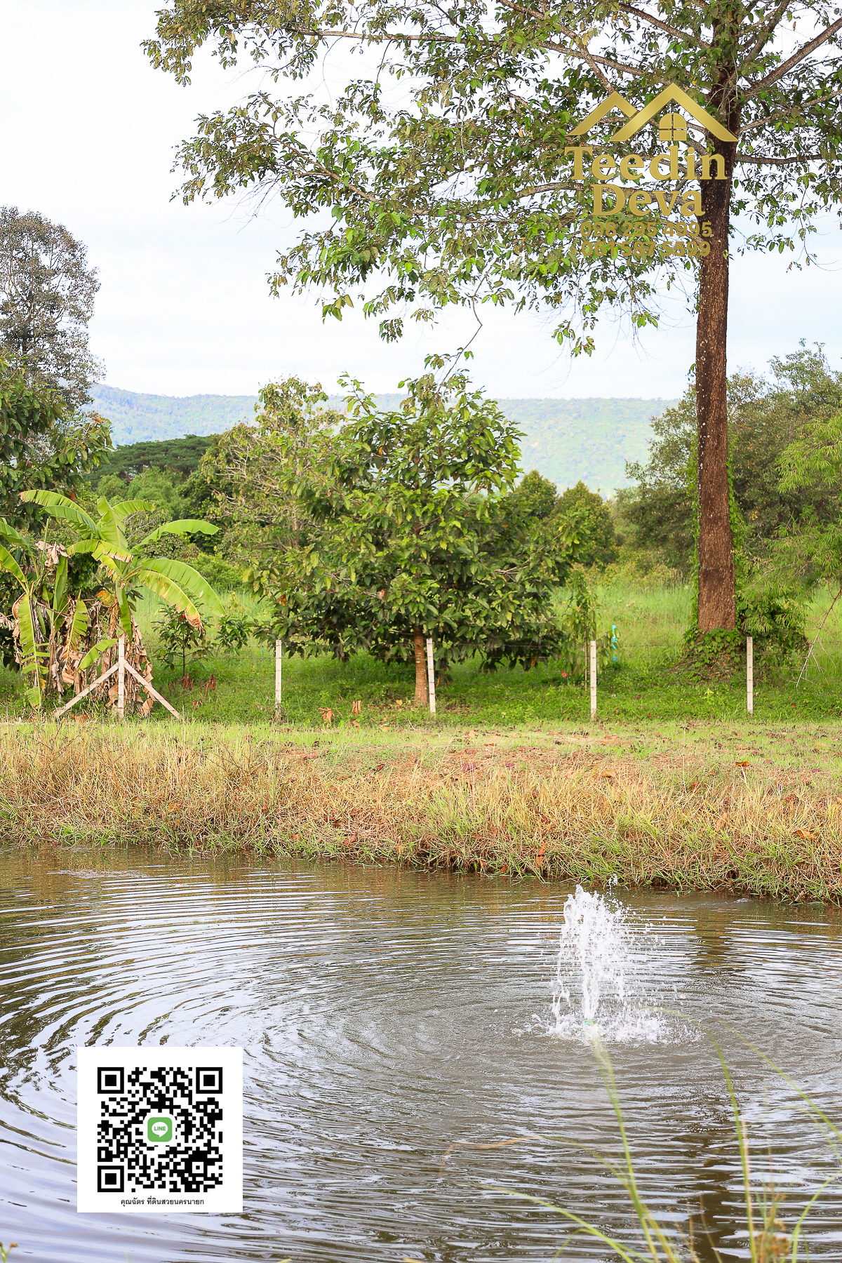 💭 ตื่นเช้าลมเย็น เห็นเขาใหญ่ตรงหน้า... ที่ดินสวนผลไม้ 2 ไร่ 3 งาน ต.นาหินลาด อ.ปากพลี จ.นครนายก