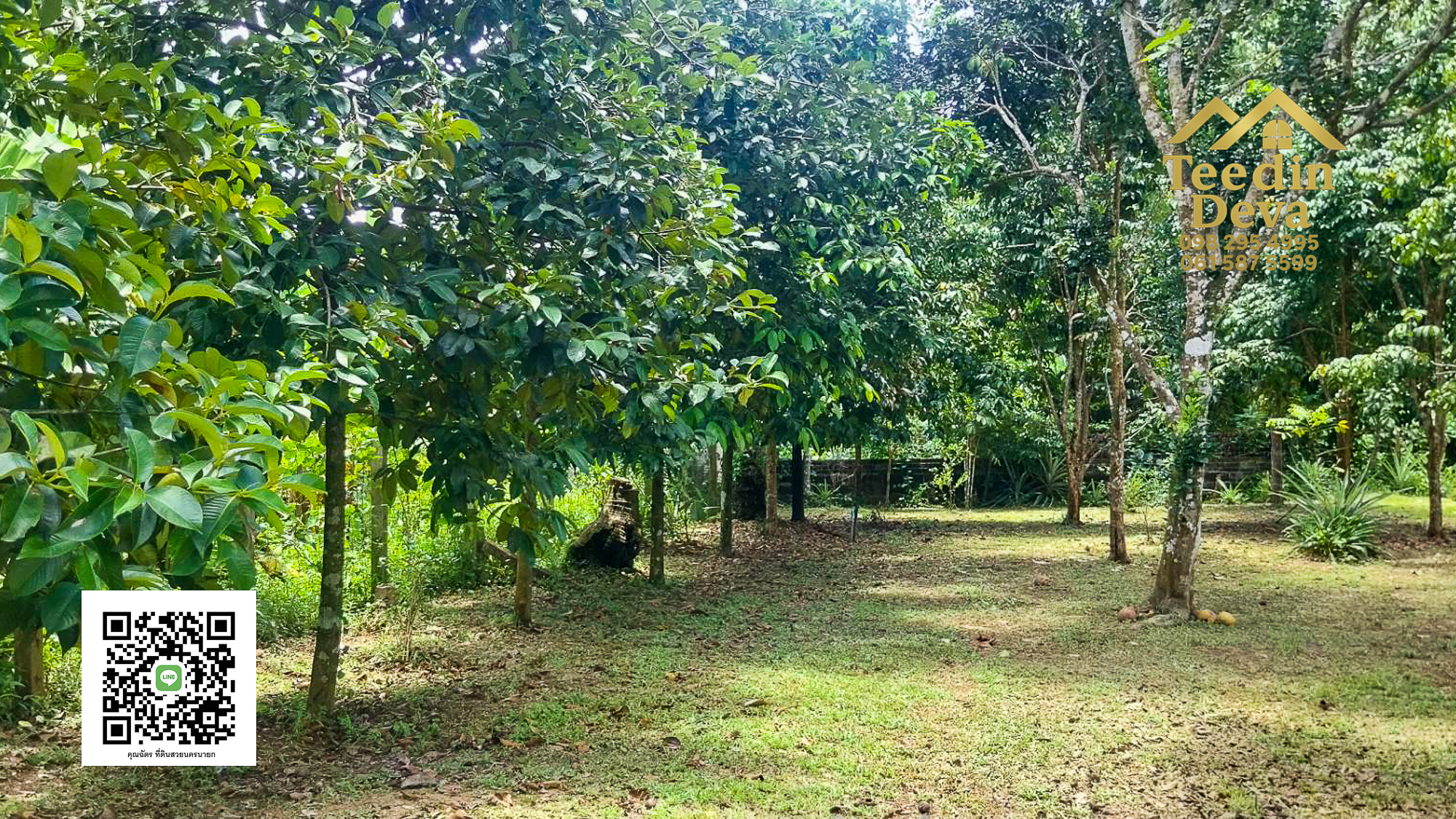 🌿 บ้านสวนในฝัน พร้อมอยู่ ใกล้เขื่อนขุนด่าน เนื้อที่ 1 ไร่ ต.สาริกา อ.เมือง จ.นครนายก 🏡
