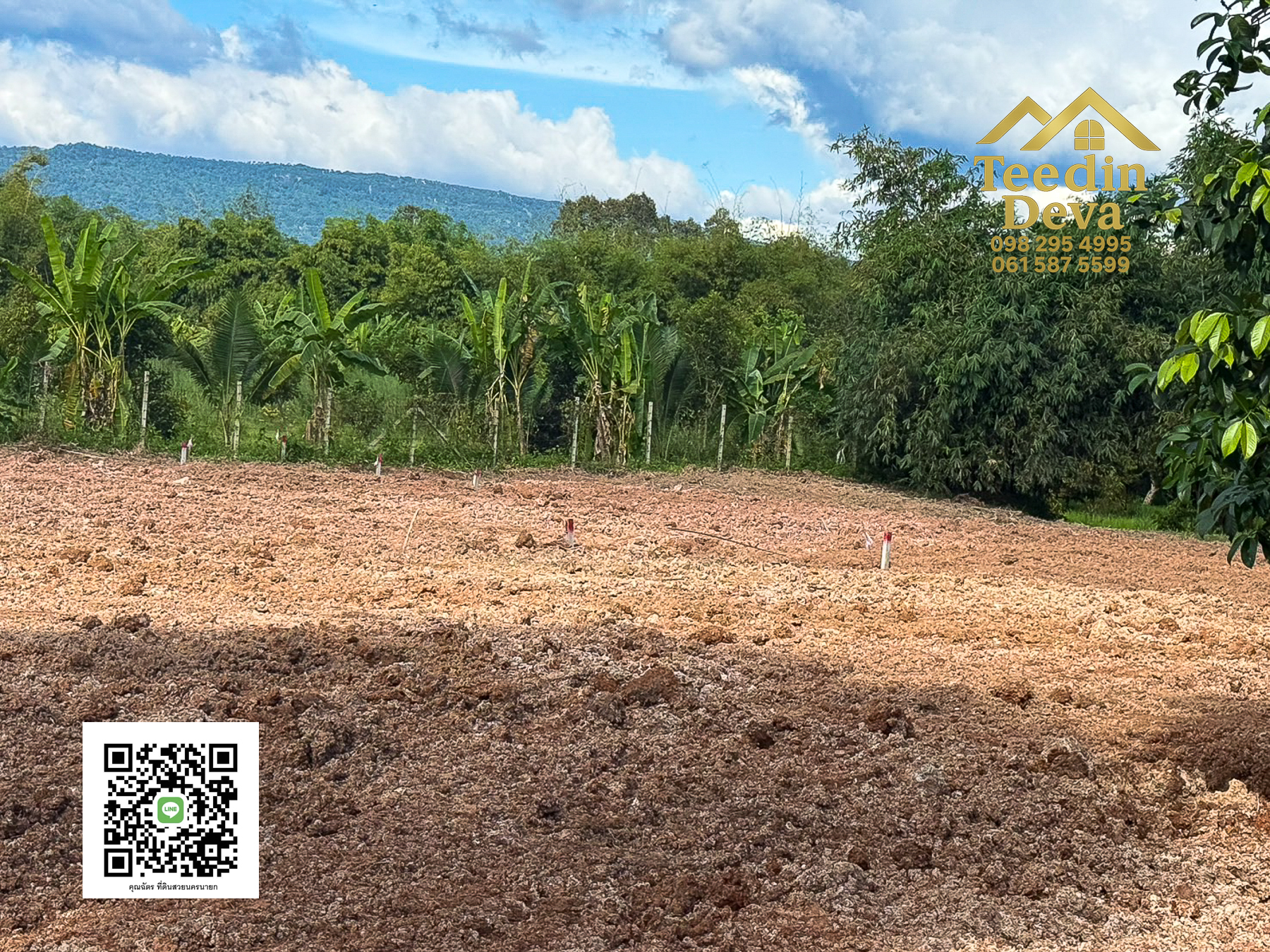 🌄 บ้านสวนผลไม้ในฝันกลางวิวเขาใหญ่ — 2 ไร่ 45 ตรว. ต.นาหินลาด อ.ปากพลี จ.นครนายก 🍃