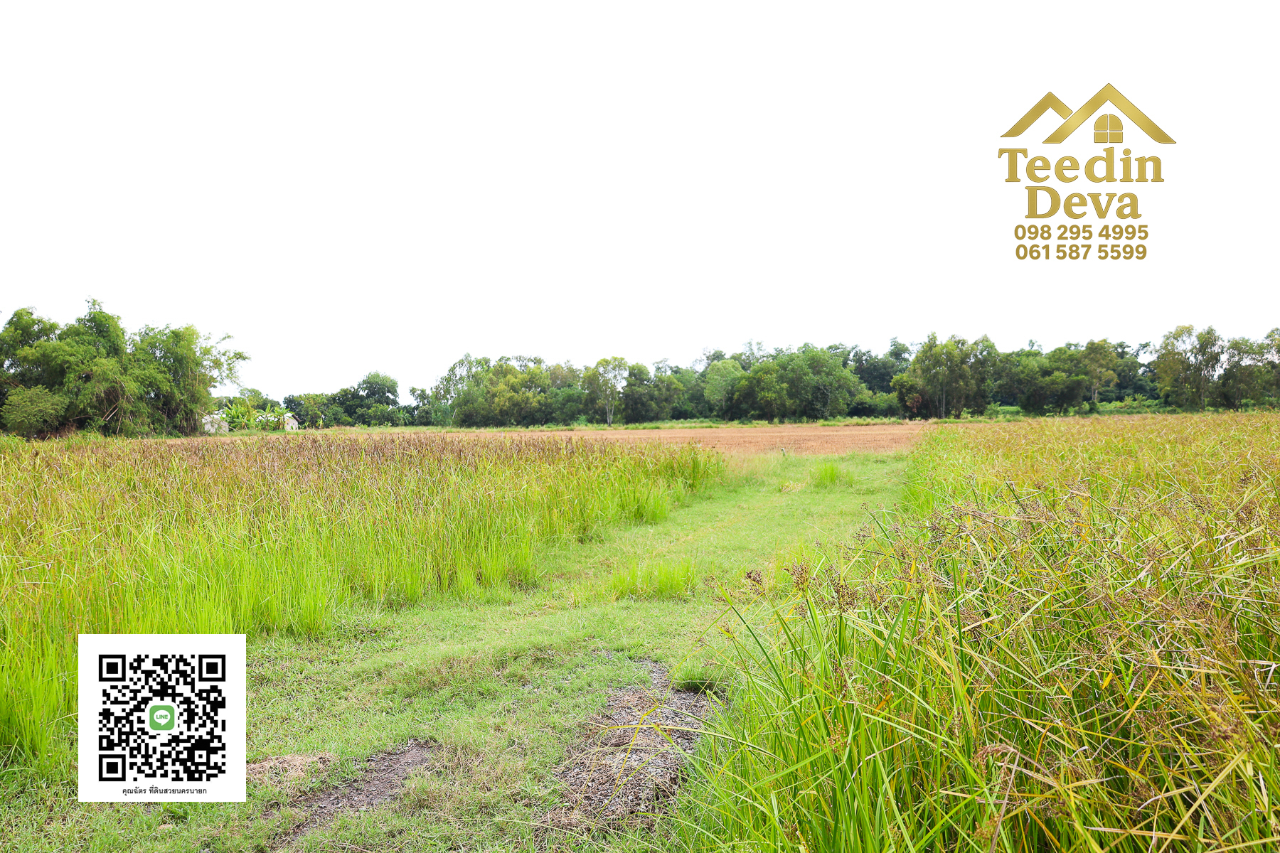 "ที่ดินในฝัน ใกล้ธรรมชาติ 🌿 1 ไร่ 2 งาน – ต.บ้านพริก อ.บ้านนา จ.นครนายก"