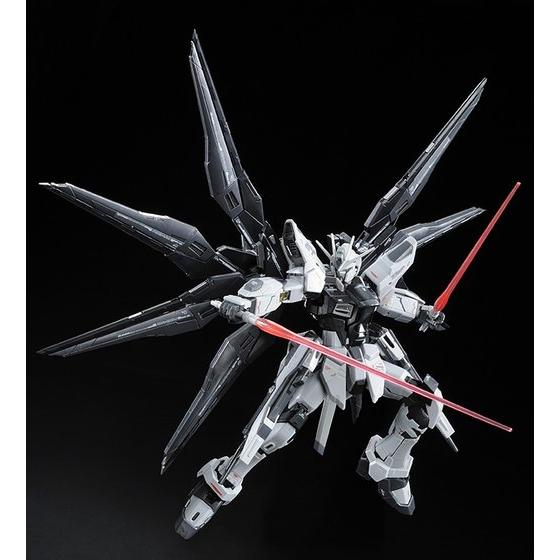 (RG) 1/144 STRIKE FREEDOM GUNDAM DEACTIVE MODE(Premium Bandai)