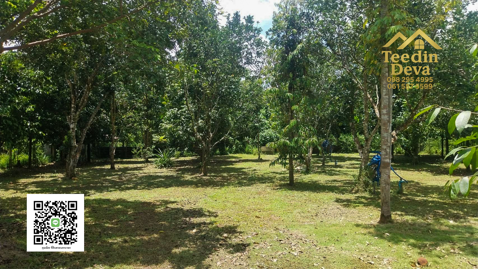 🌿 บ้านสวนในฝัน พร้อมอยู่ ใกล้เขื่อนขุนด่าน เนื้อที่ 1 ไร่ ต.สาริกา อ.เมือง จ.นครนายก 🏡