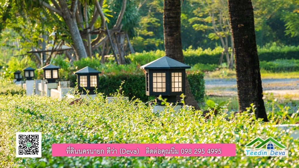 ขายบ้าน ทำเลธุรกิจ สามารถประยุกต์เป็นร้านอาหาร และคาเฟ่