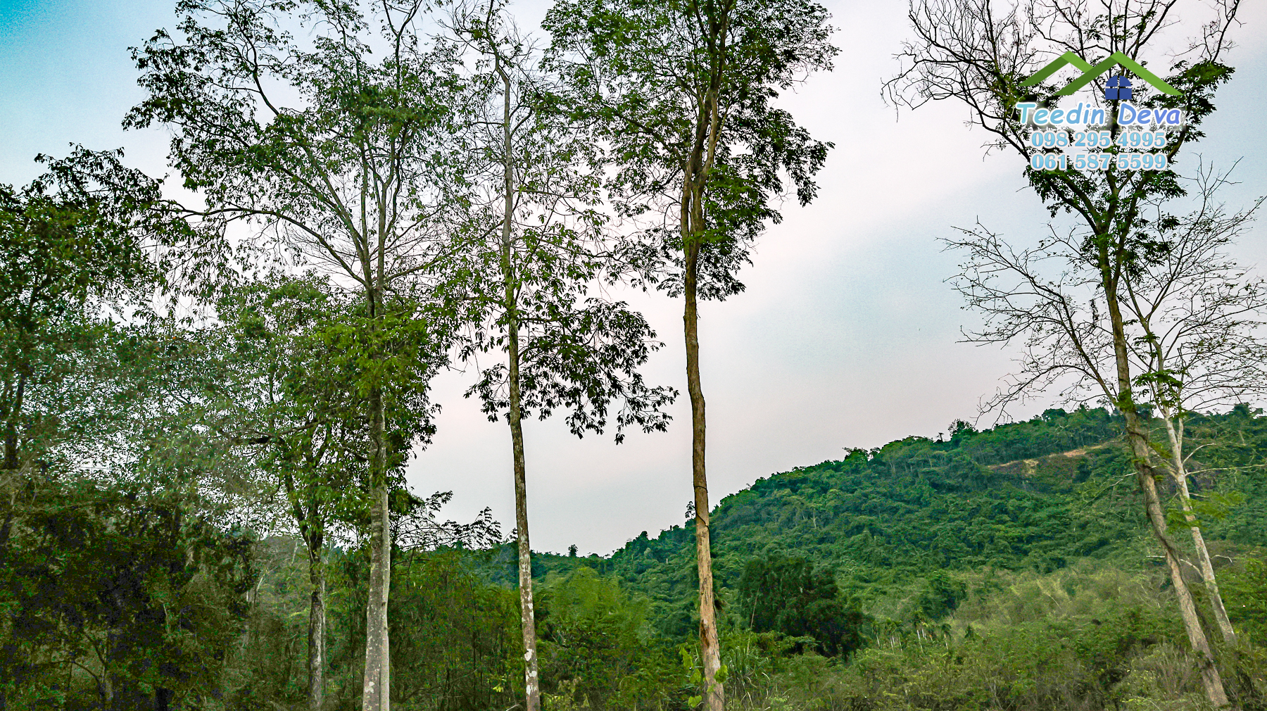 (ปิดการขาย) ที่ดินนครนายก ติดภูเขา ลำธารธรรมชาติไหลผ่านแปลง เนื้อที่ 10 ไร่ 1 งาน ต. สาริกา อ. เมือง จ.นครนายก
