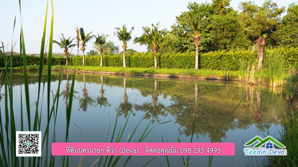 ขายบ้าน ทำเลธุรกิจ สามารถประยุกต์เป็นร้านอาหาร และคาเฟ่