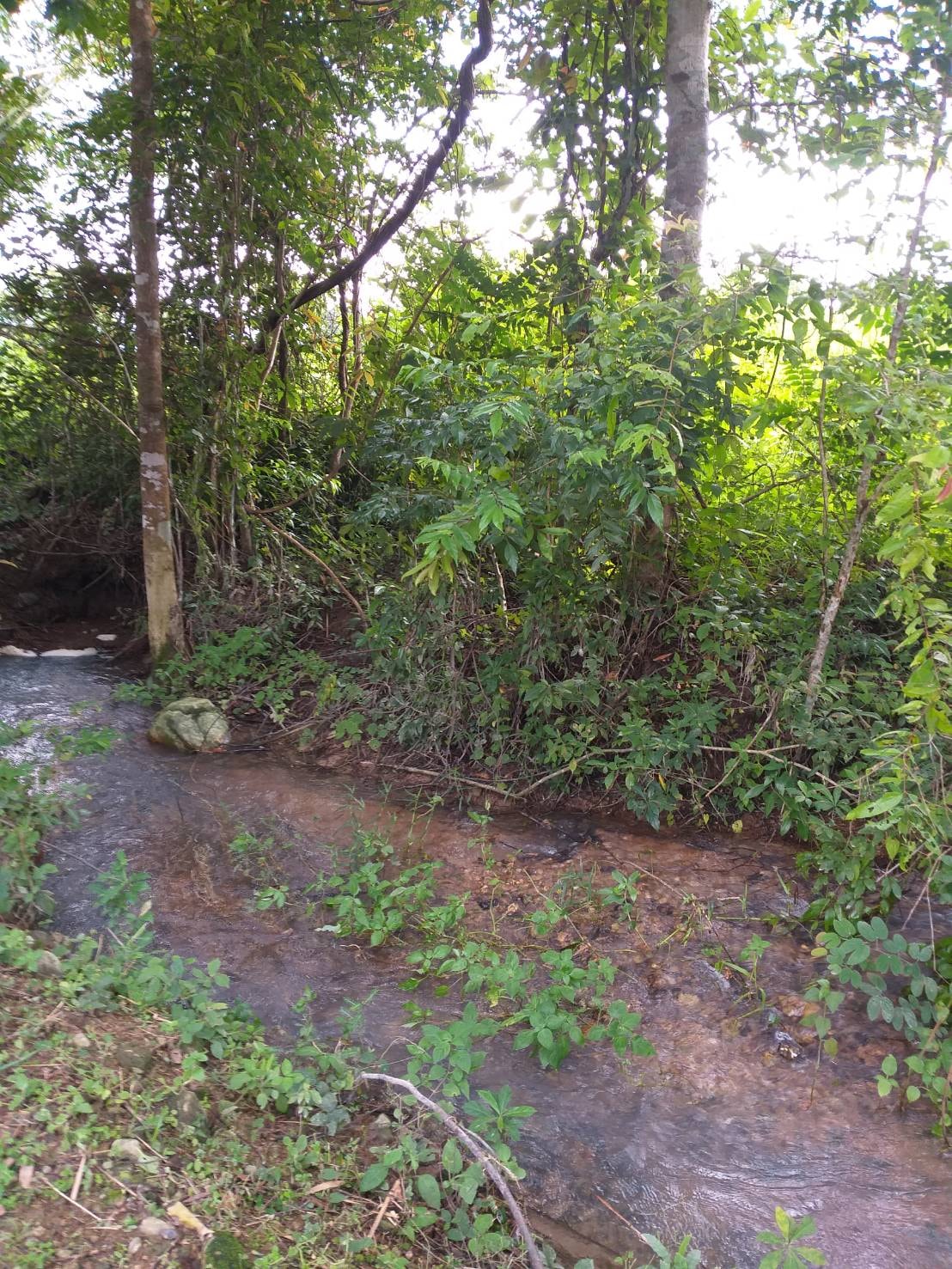 🏞️ “ผืนธรรมชาติกลางหุบเขา” 12 ไร่ 2 งาน 93.3 ตร.วา – ต.สาริกา อ.เมือง จ.นครนายก 🌳