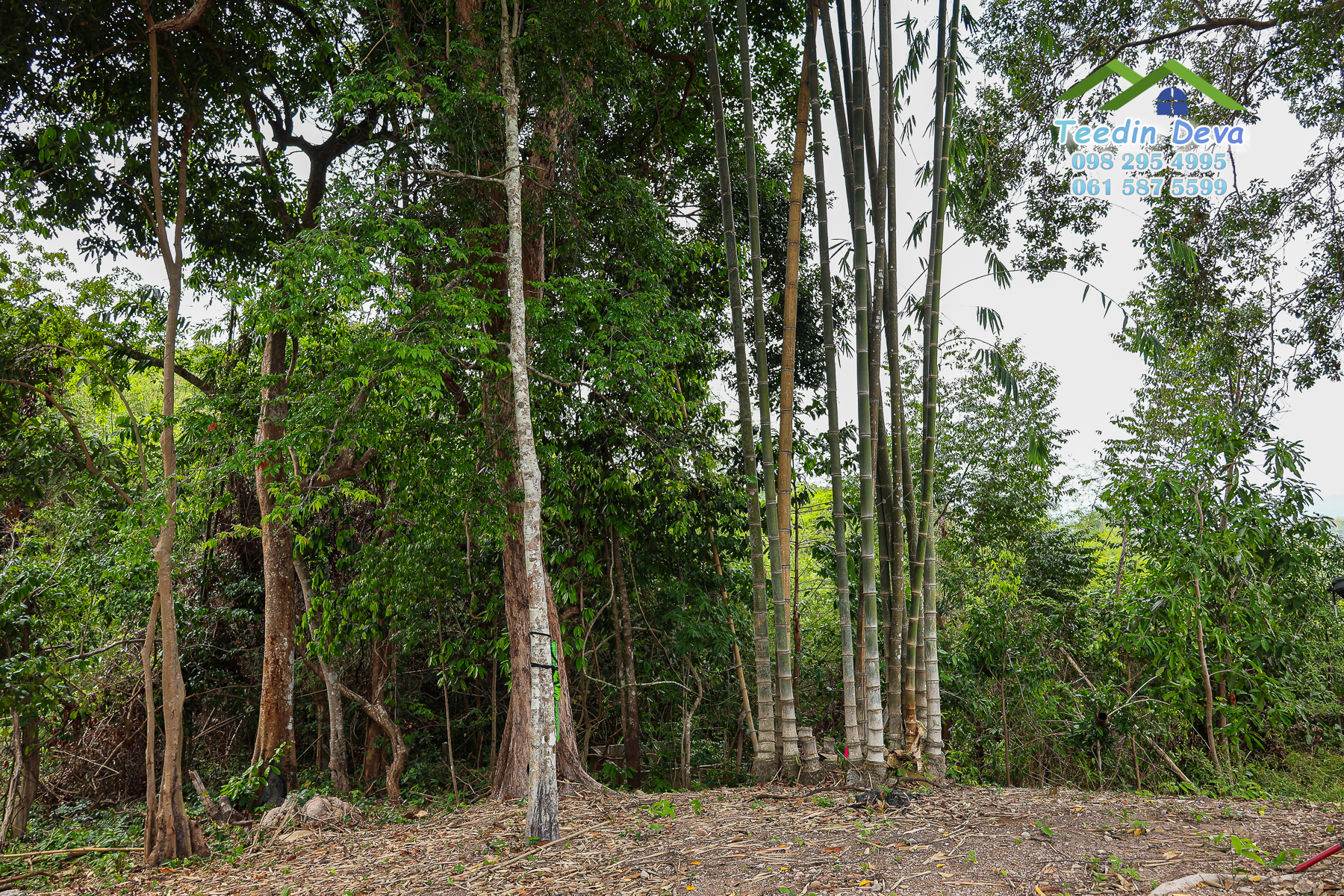 🌿 “มุมสงบแห่งภูกะเหรี่ยง” ที่ดินวิวเขา ริมคลองน้ำใส 297 ตรว. ต.หินตั้ง อ.เมือง จ.นครนายก สำเนา