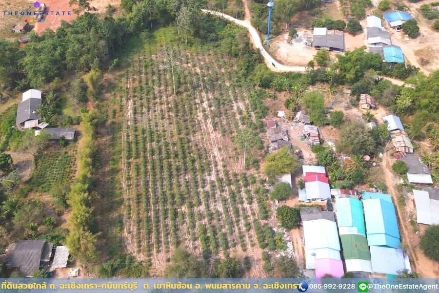 📣 ที่ดินสวยพร้อมทำกำไรดีกว่าฝากแบงค์ ปลูกต้นยูคาฯ ตอ2 กำลังโต พร้อมเก็บเกี่ยว ใกล้ ถ. ฉะเชิงเทรา-กบินทร์บุรี น้ำ-ไฟฟ้าเข้าถึงเรียบร้อย เดินทางเข้าออกสะดวก ต. เขาหินซ้อน อ. พนมสารคาม จ. ฉะเชิงเทรา The Best ! | โทร. 085-992-9228