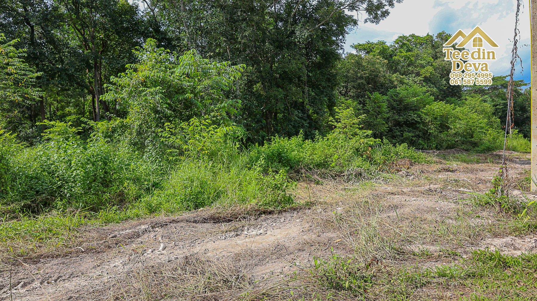 🏞️ “ผืนธรรมชาติกลางหุบเขา” 12 ไร่ 2 งาน 93.3 ตร.วา – ต.สาริกา อ.เมือง จ.นครนายก 🌳