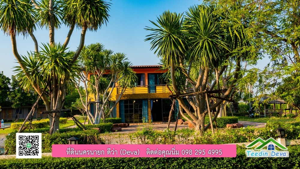 ขายบ้าน ทำเลธุรกิจ สามารถประยุกต์เป็นร้านอาหาร และคาเฟ่