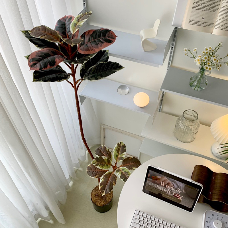 [พร้อมส่ง] Jnihouse : ต้นยางอินเดียประดิษฐ์ (Rubber Plant)(Tree)