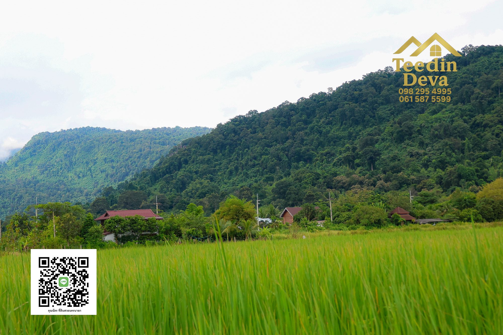 🏡✨ ที่ดินวิวภูเขา โอบด้วยธรรมชาติ…พักใจได้ทุกวัน 🌿 100 ตรว ต.เขาพระ อ.เมือง จ.นครนายก