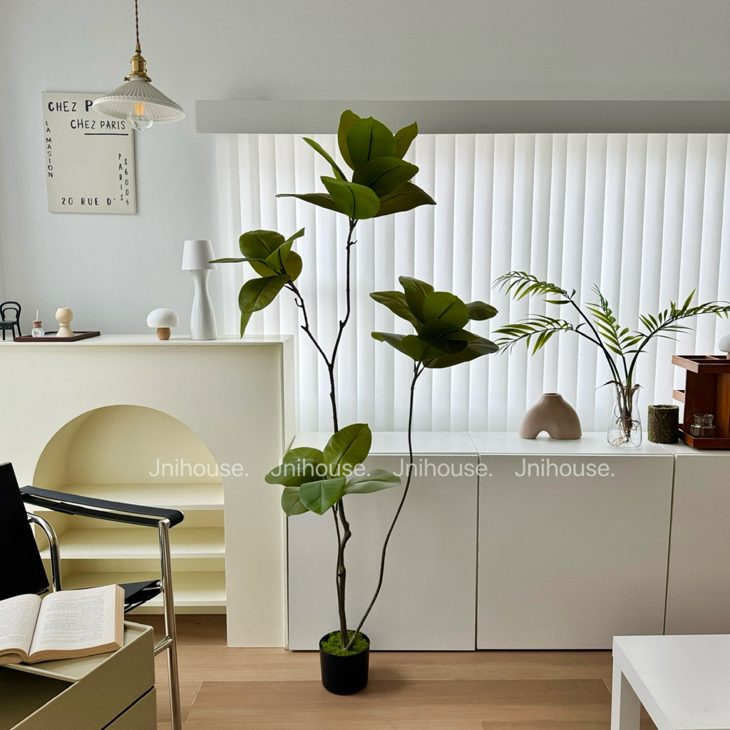 [พร้อมส่ง] Jnihouse : ต้นยางอินเดียประดิษฐ์ ขนาดสูง 160 cm (Tree)