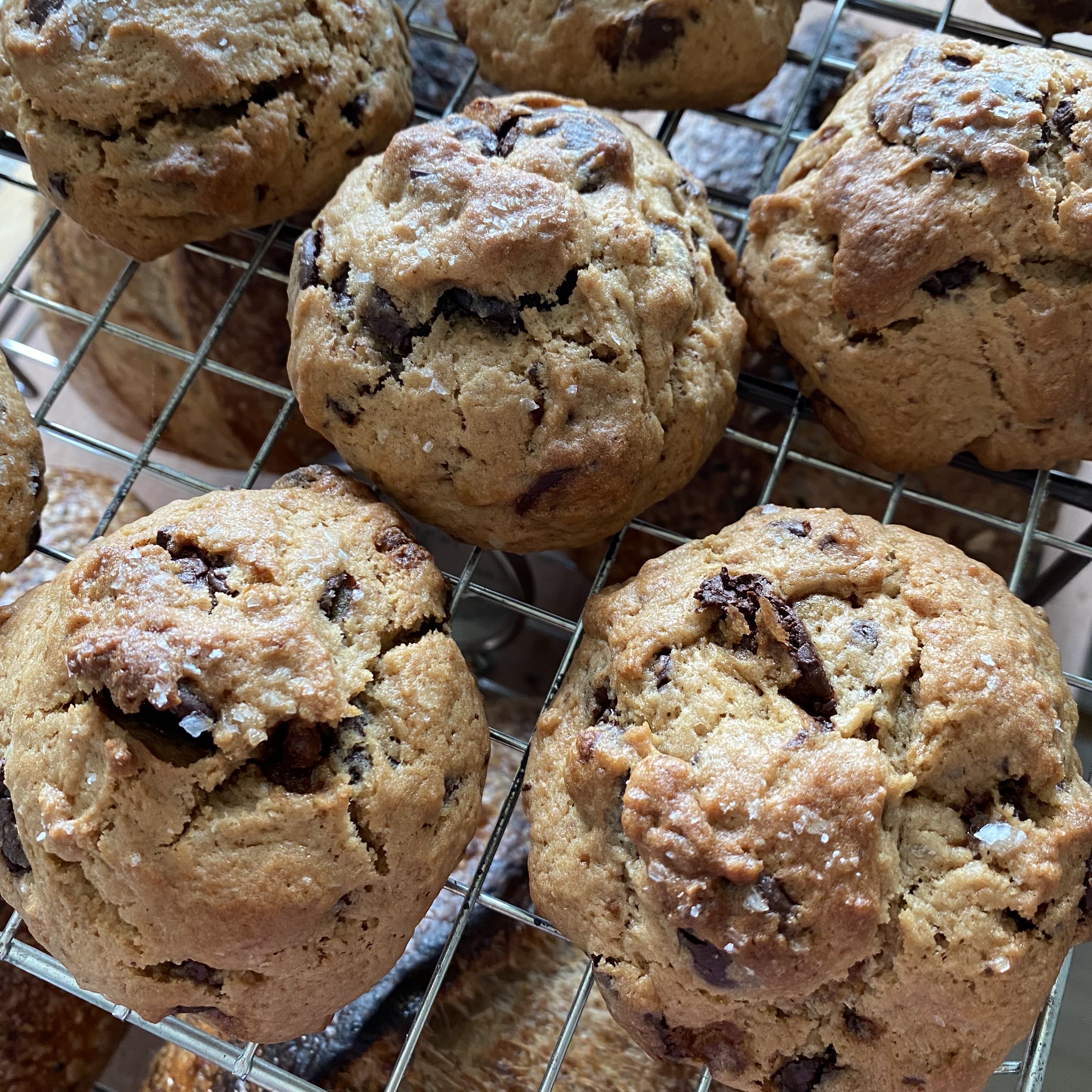 Sourdough Chocolate Chip Cookies box set (5 pcs)