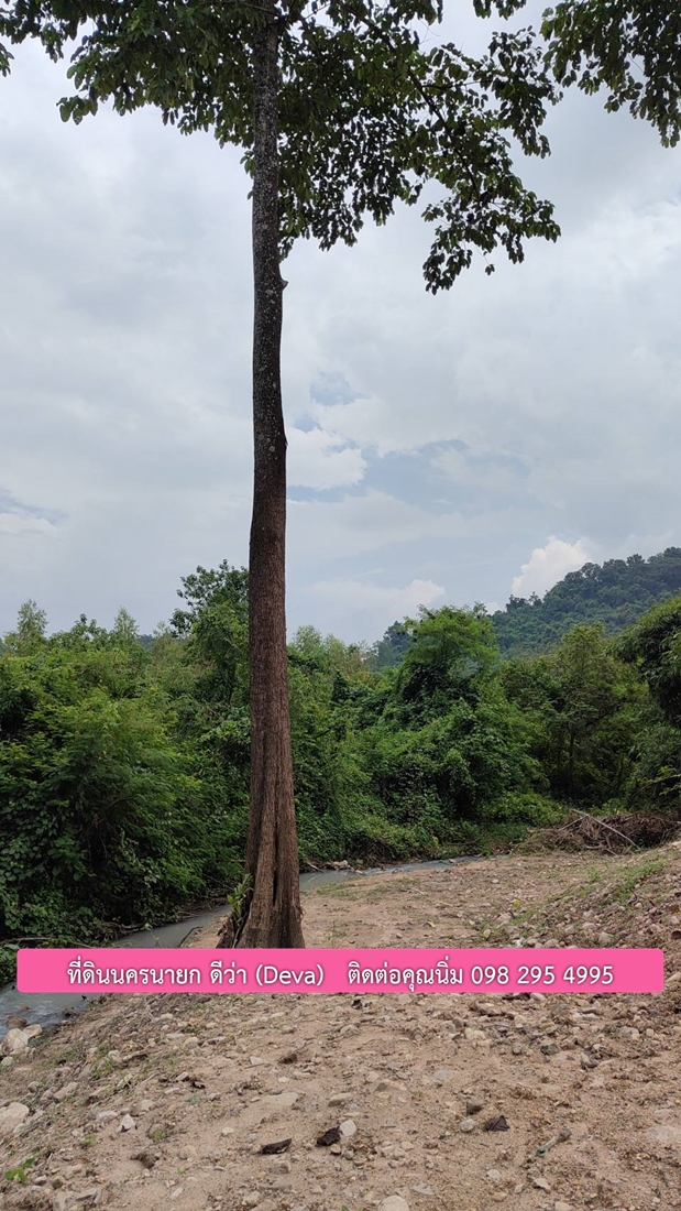🌳 ขายที่ดินนครนายก 1 ไร่ 80 ตรว อยู่ด้านในหุบเขา มีวิวภูเขาสวยๆ ด้านหน้าเป็นลำธารเล็กๆ ต.เขาเพิ่ม อ.บ้านนา จ.นครนายก โฉนดครุฑแดง