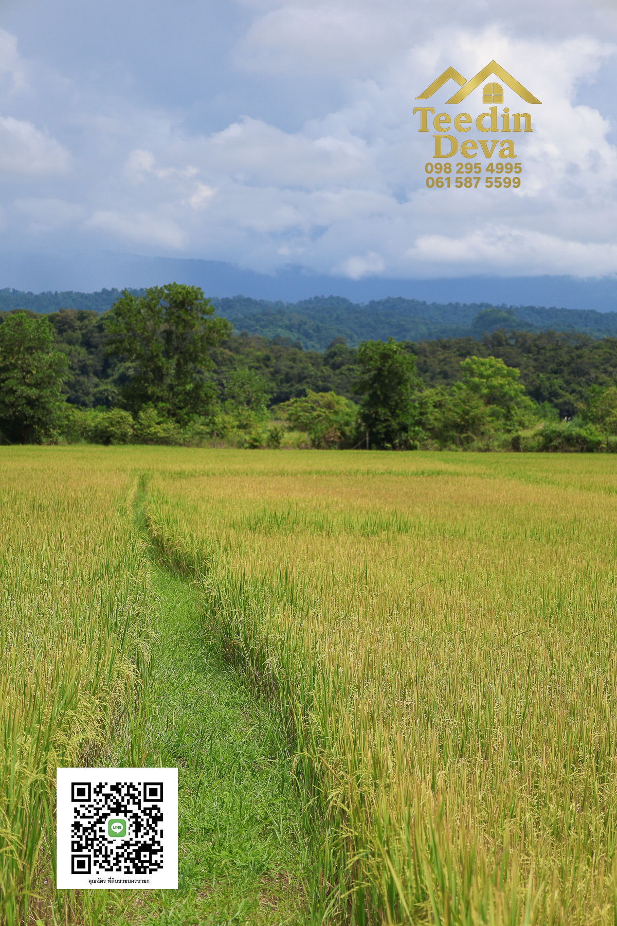 🏞️ “ที่ดินวิวเขาสุดตระการตา ใกล้เขาใหญ่เพียง 10 นาที — นาหินลาด อำเภอปากพลี จังหวัดนครนายก”