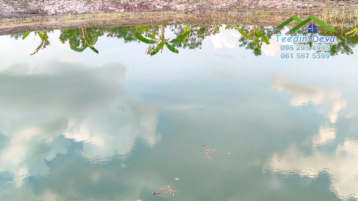 ที่ดินนครนายก แปลงสวย เหมาะทำบ้านสวนเกษตร 2 ไร่ 1 งาน 19 ตร.ว. ต.พรหมณี อ.เมือง จ.นครนายก