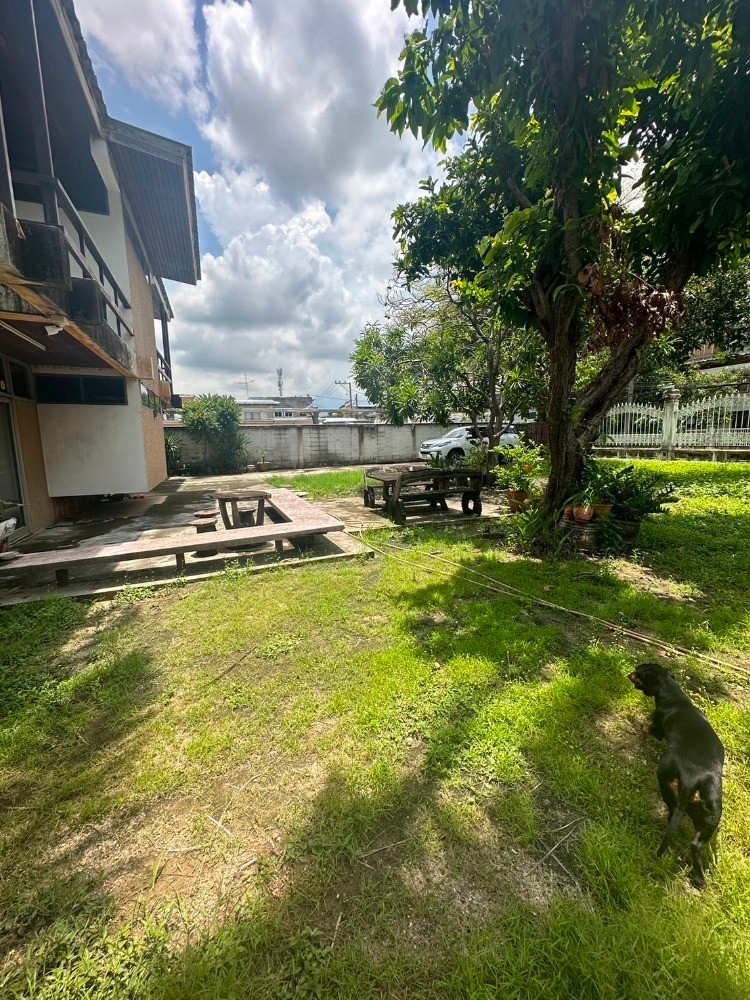 ให้เช่าบ้านเดี่ยว 2 ชั้น พร้อมที่ดิน ซอยสุขุมวิท 97/1 ถนนสุขุมวิท (N.1543)