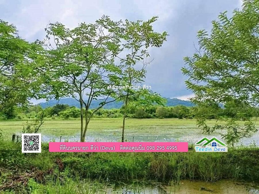 บ้านสวนผลไม้ สามารถเก็บผลผลิตได้เลย พื้นที่ 2 ไร่ 1 งาน อ.ปากพลี จ.นครนายก